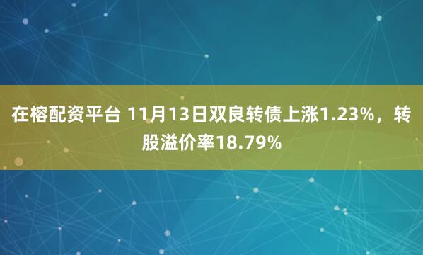 在榕配资平台 11月13日双良转债上涨1.23%，转股溢价率18.79%